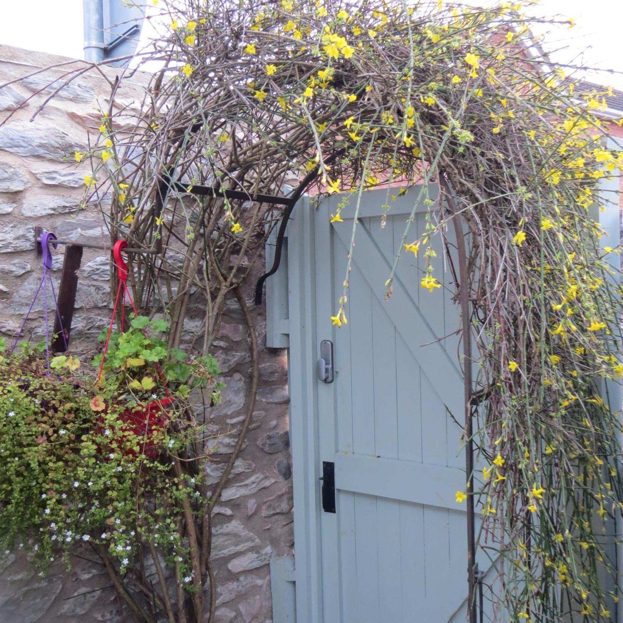 Frog Palace - Secure Parking-Outside Area-Topsham-Exeter-Beach-Chiefs-WiFi Eksteriør bilde